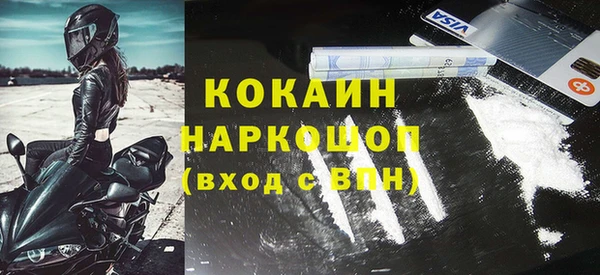 apvp Няндома